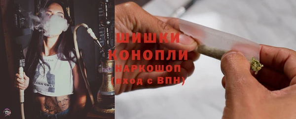 прущий лед Абаза