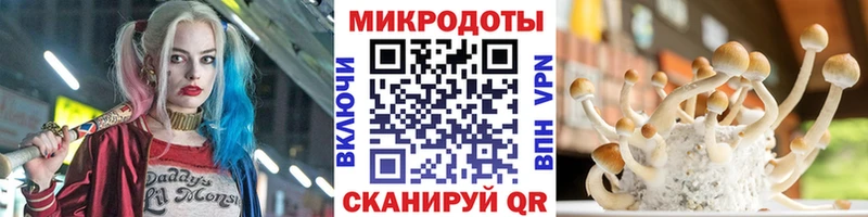 Галлюциногенные грибы мицелий  Барыш 